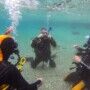 PADI Scuba Diver