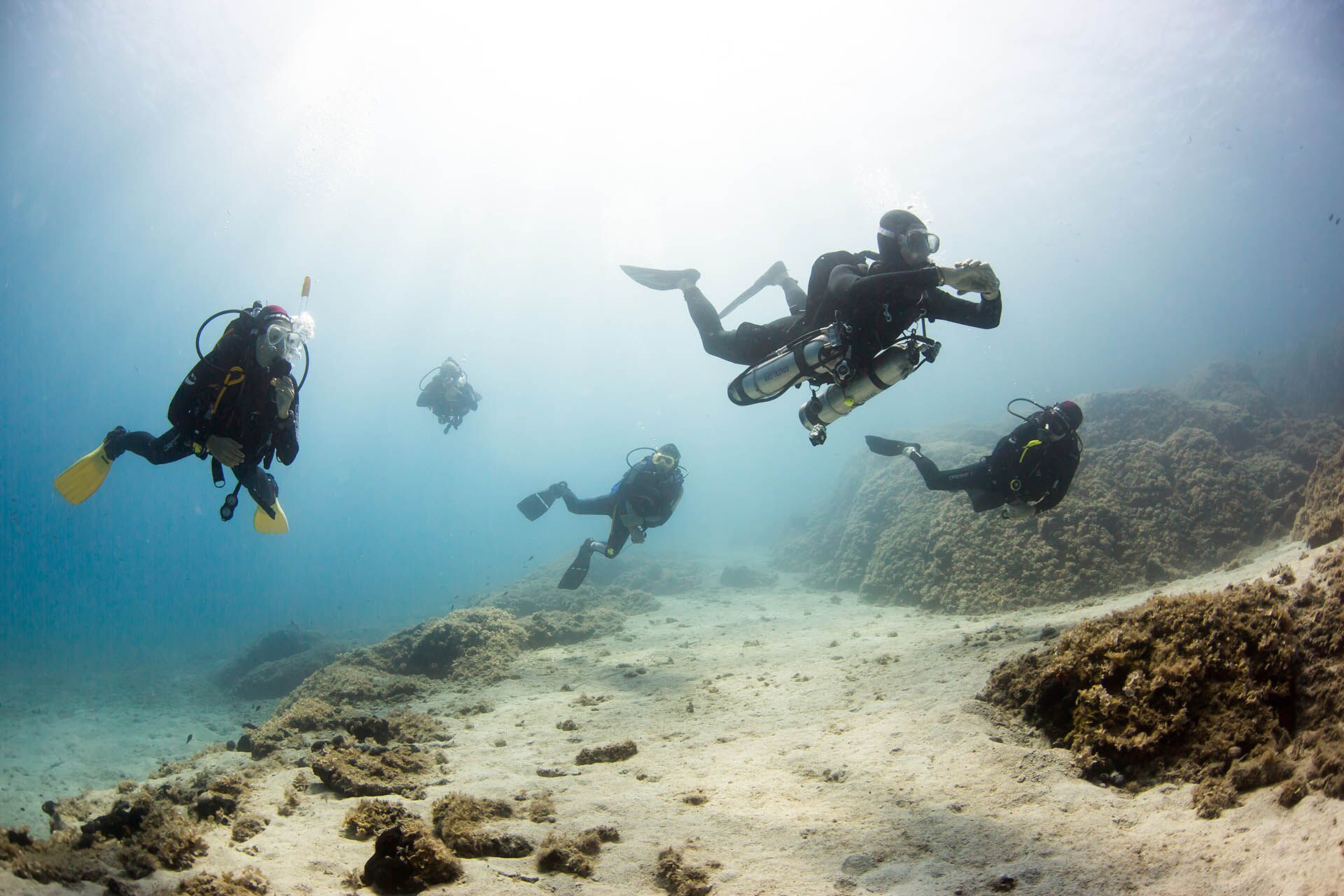 Guided Dive