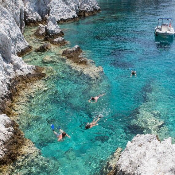 Guided Snorkeling
