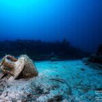 amphorae in peristera shipwreck underwater museum